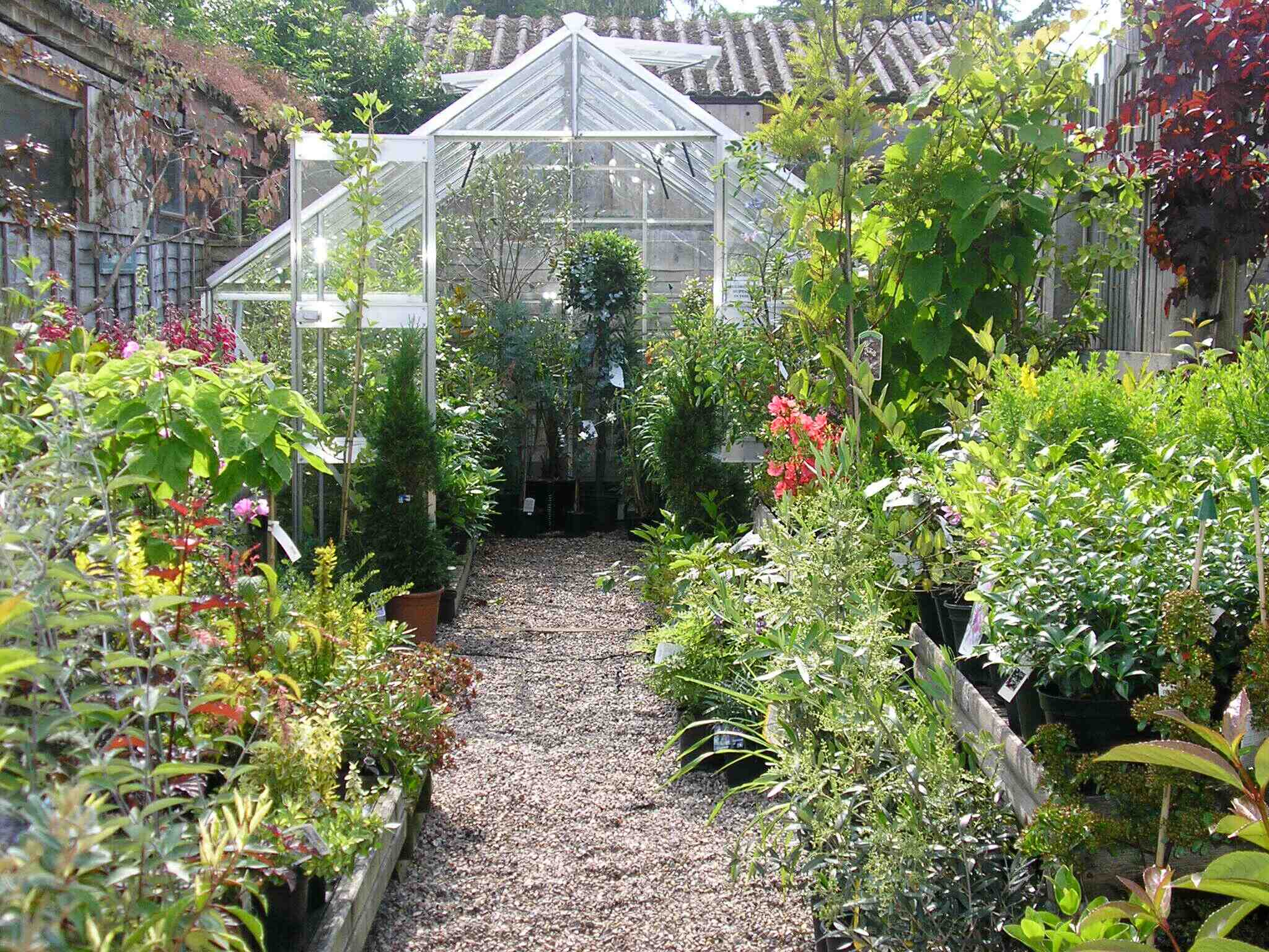 Greenhouse